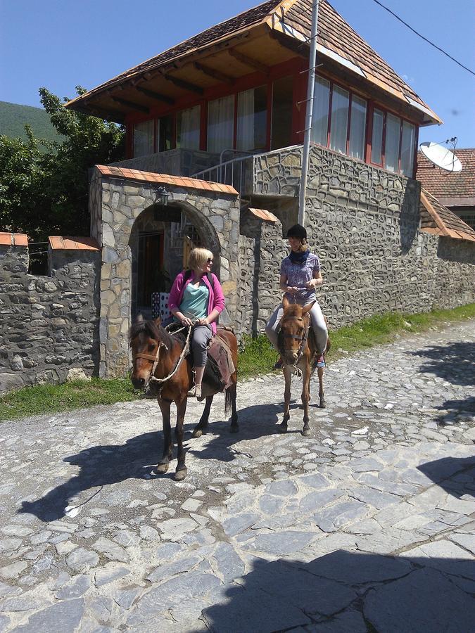 Ilham Mustafa Houses Şǝki Extérieur photo
